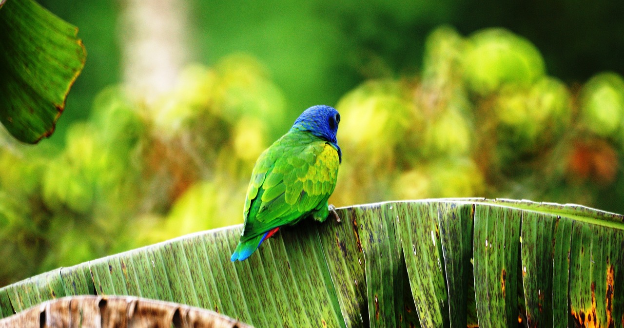 Best Plants for Landscaping Near Patios
